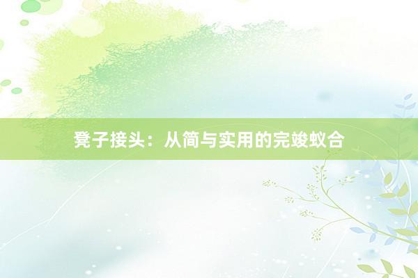 凳子接头：从简与实用的完竣蚁合