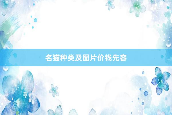 名猫种类及图片价钱先容