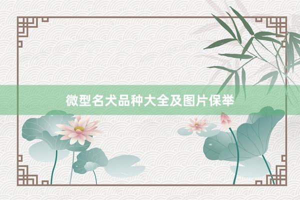 微型名犬品种大全及图片保举